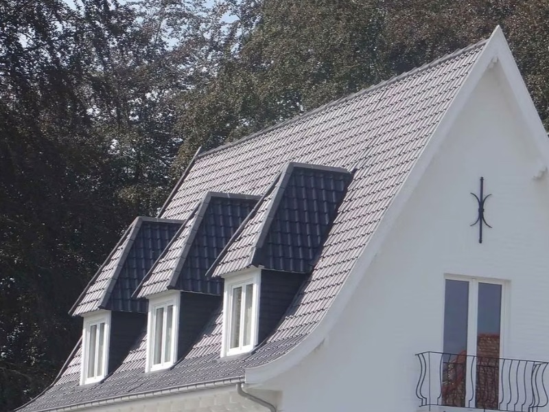 Démoussage et hydrofugation